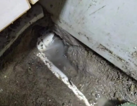 德城卫生间测漏水多少钱