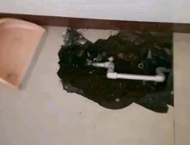 德城卫生间测漏水多少钱
