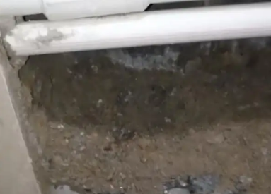 德城卫生间测漏水多少钱